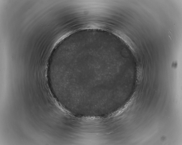 X0000098230826200805221709