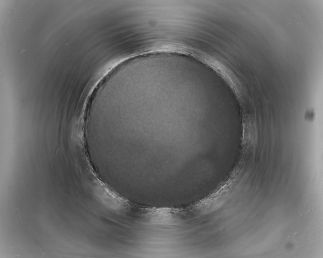 X0000098230828200805221709