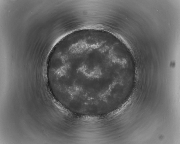 X0000098230830200805221709