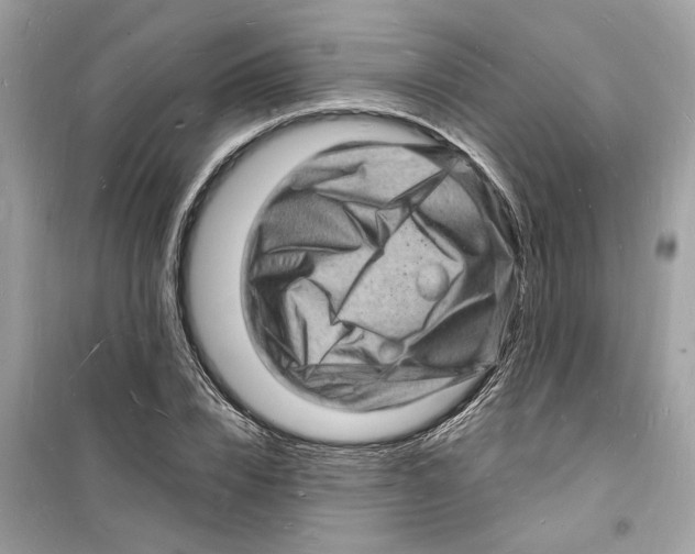 X0000098230832200805221709