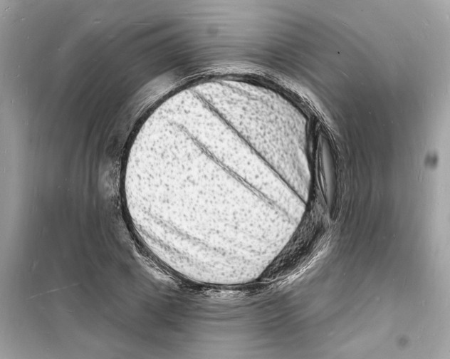 X0000098230833200805221709