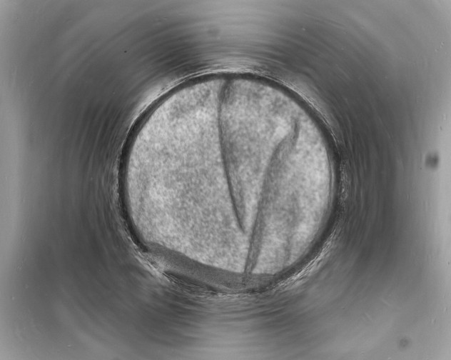 X0000098230834200805221709