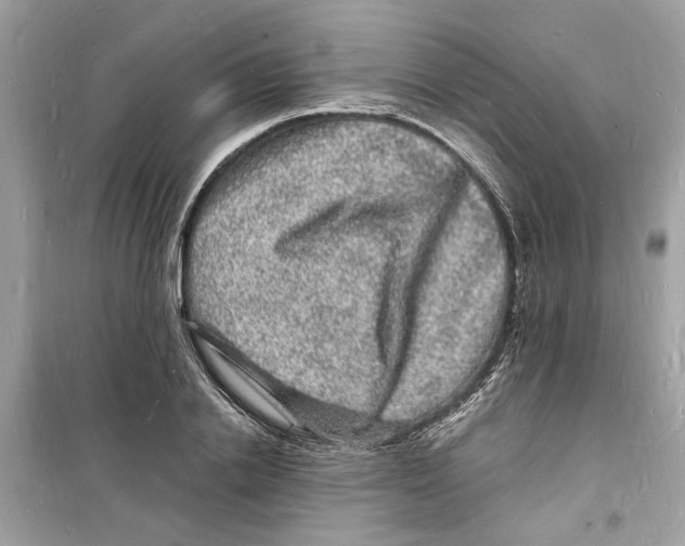 X0000098230838200805221709