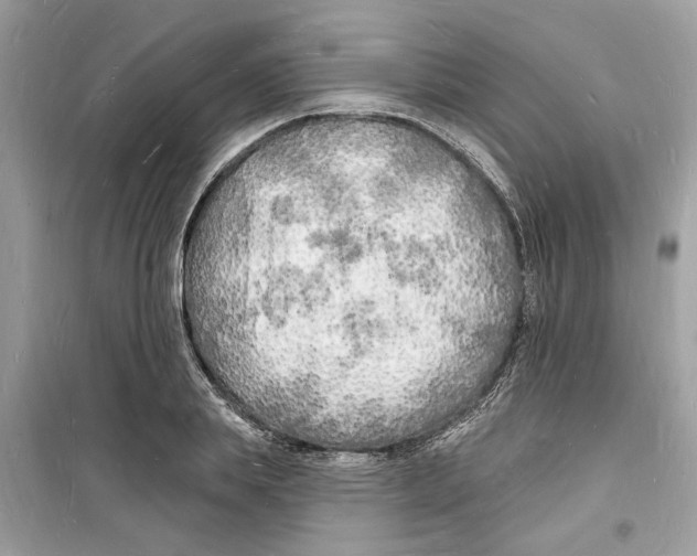 X0000098230839200805221709