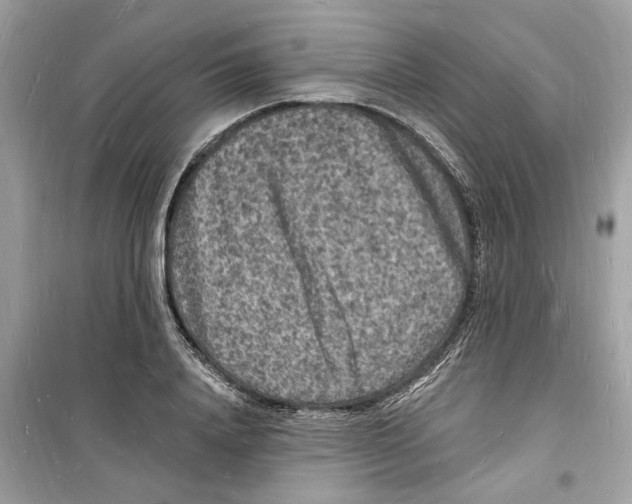 X0000098230840200805221709