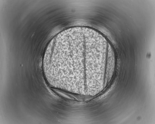 X0000098230841200805221709