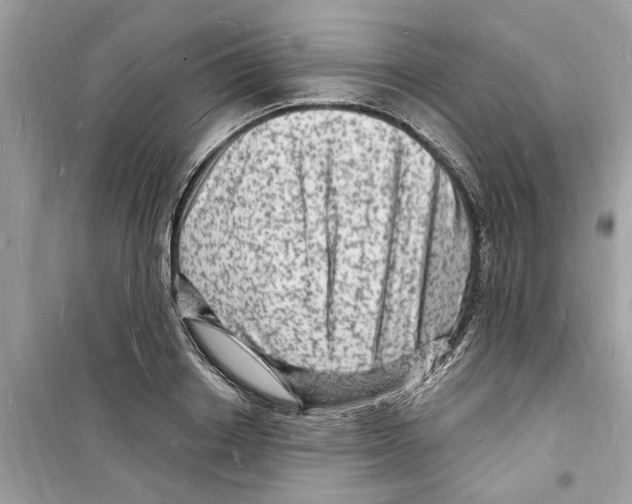 X0000098230842200805221709