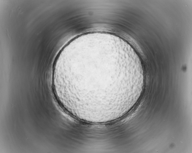 X0000098230844200805221709