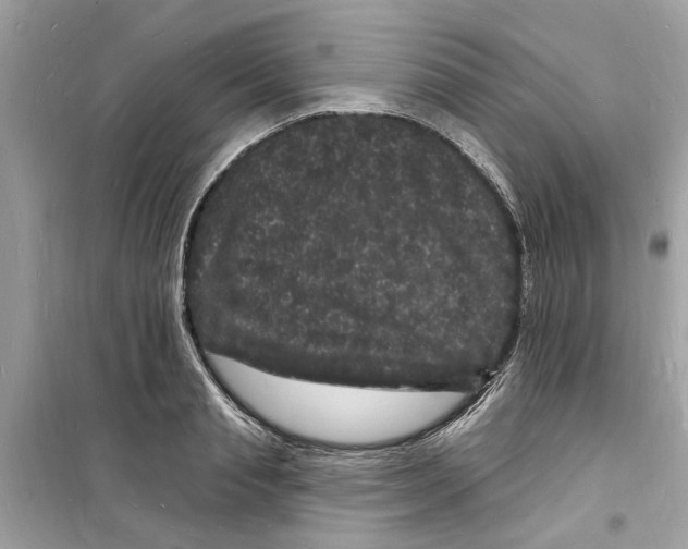 X0000098230845200805221709