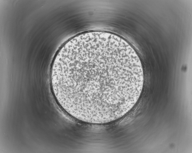 X0000098230848200805221709