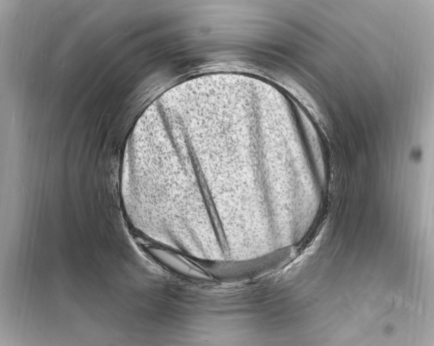 X0000098230849200805221709