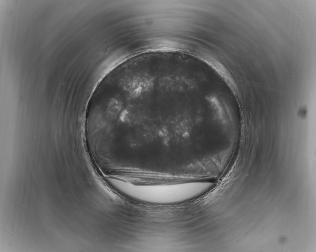 X0000098230850200805221709