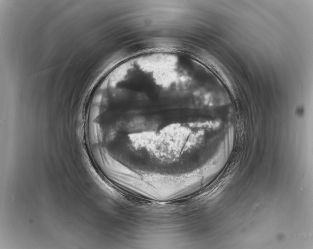 X0000098230851200805221709