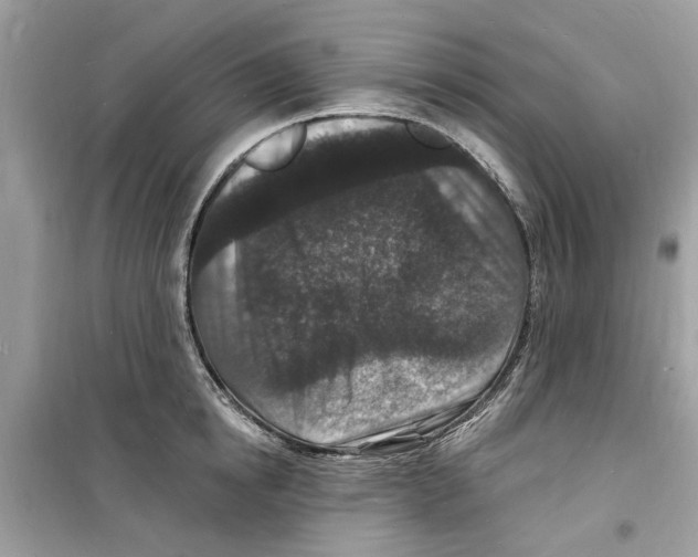 X0000098230854200805221709