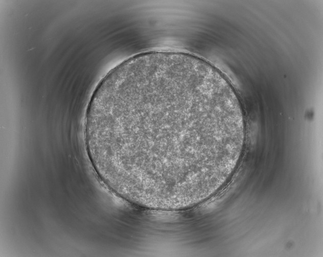 X0000098230856200805221709