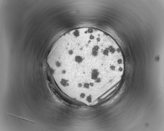 X0000098230857200805221709