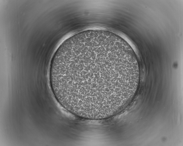 X0000098230861200805221709