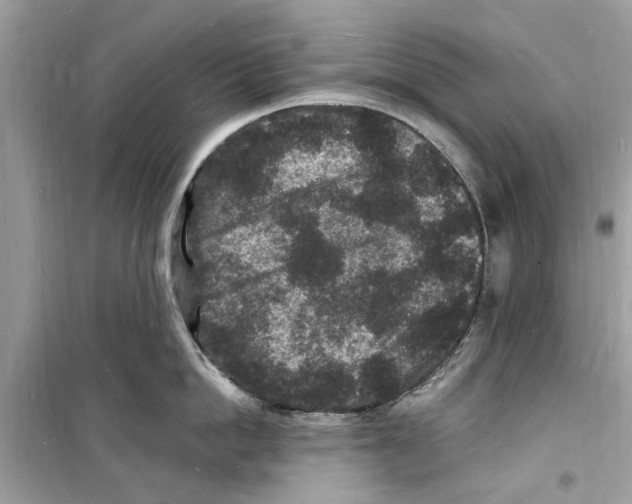 X0000098230862200805221709