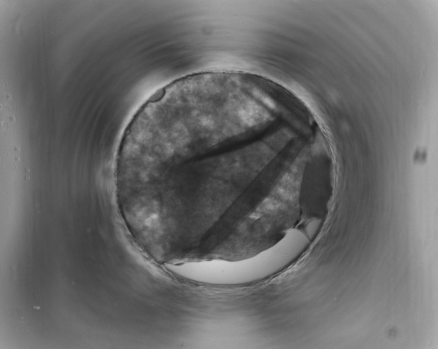 X0000098230864200805221709