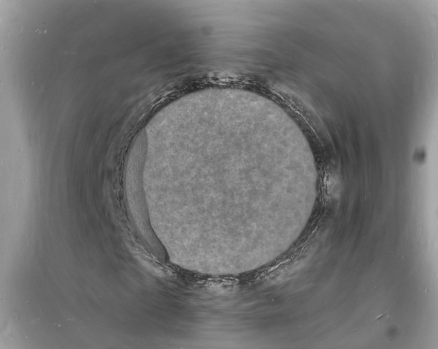 X0000098230865200805221708