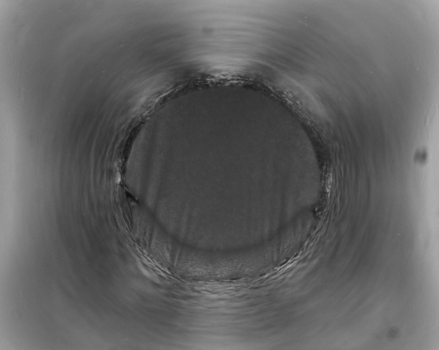 X0000098230868200805221708