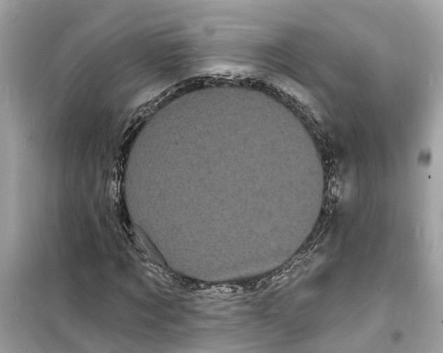 X0000098230869200805221708