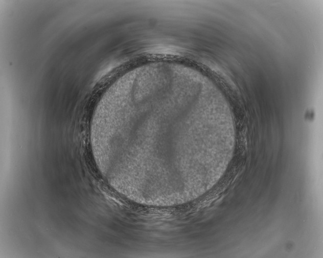 X0000098230870200805221708