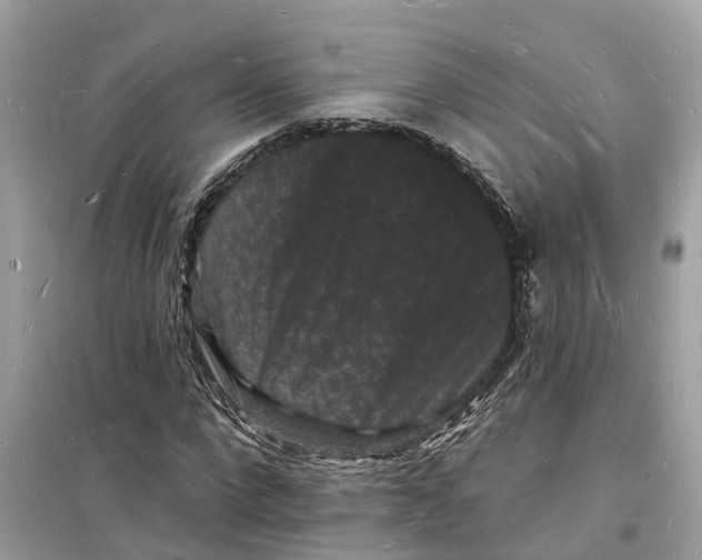 X0000098230872200805221708