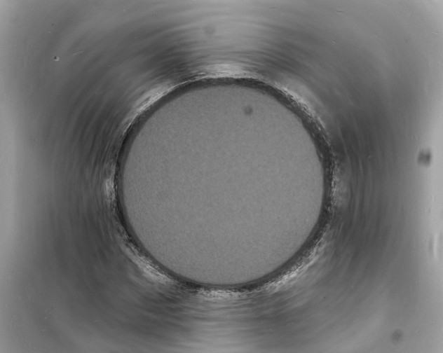 X0000098230873200805221708