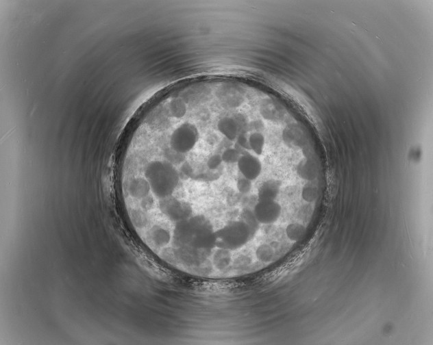 X0000098230875200805221708