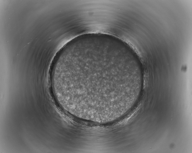 X0000098230876200805221708