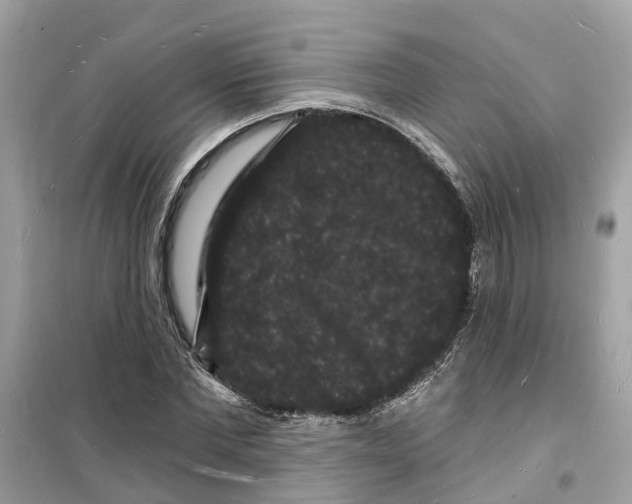 X0000098230877200805221708