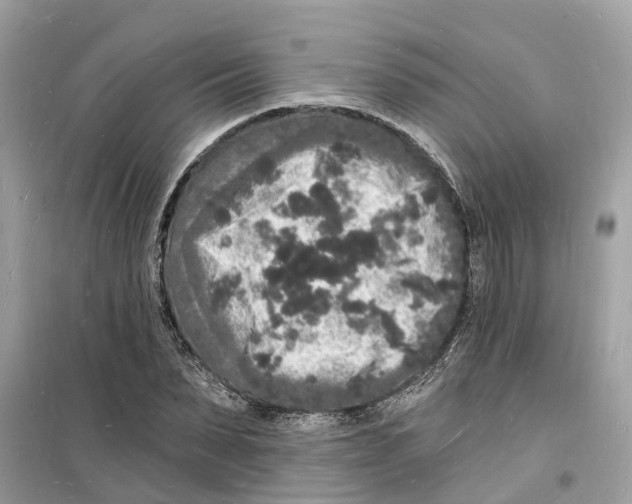 X0000098230879200805221708