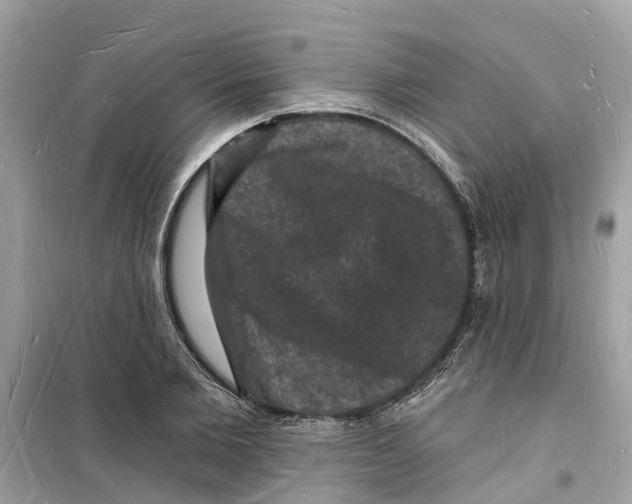 X0000098230885200805221708