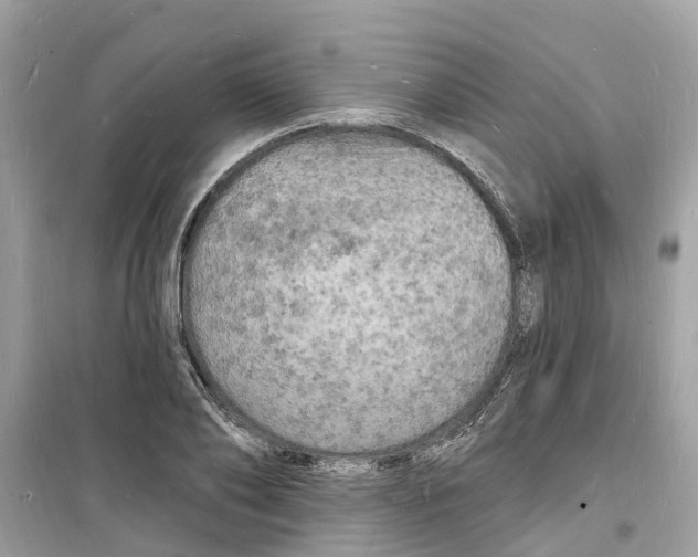 X0000098230886200805221708