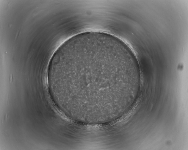 X0000098230887200805221708