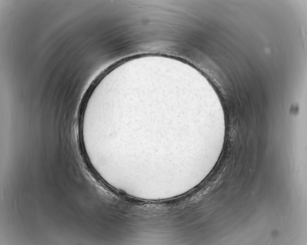 X0000098230888200805221708