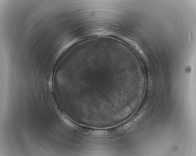 X0000098230889200805221708