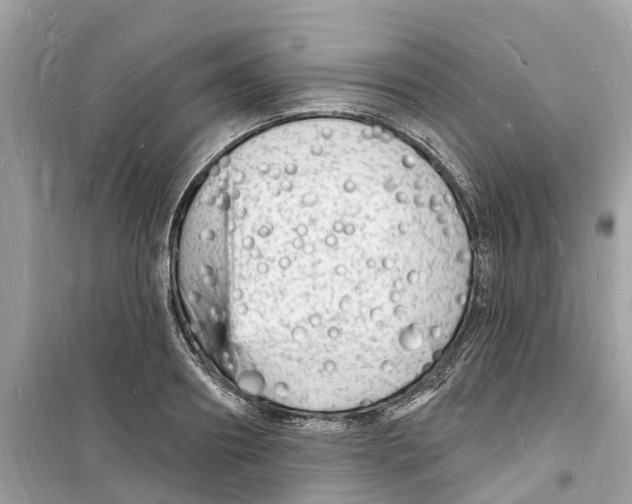 X0000098230890200805221708