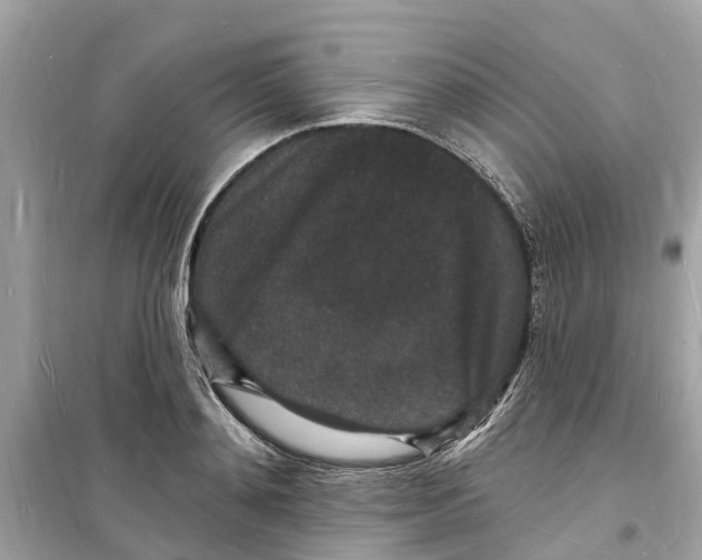 X0000098230892200805221708