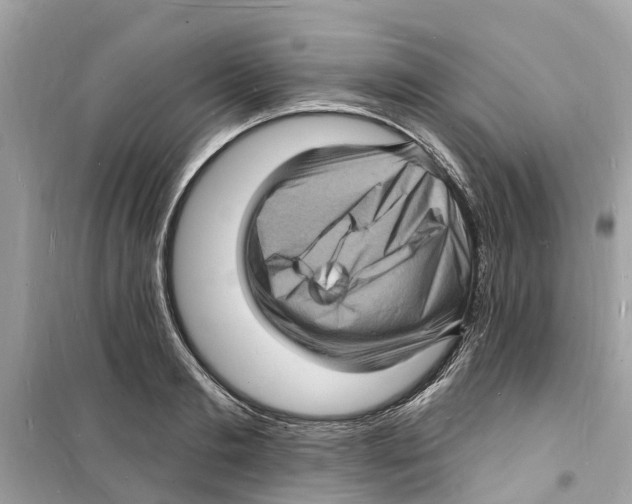 X0000098230893200805221708