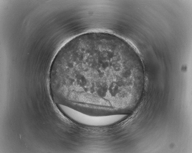 X0000098230895200805221708