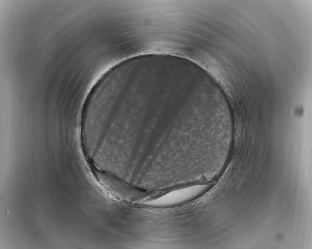 X0000098230896200805221708