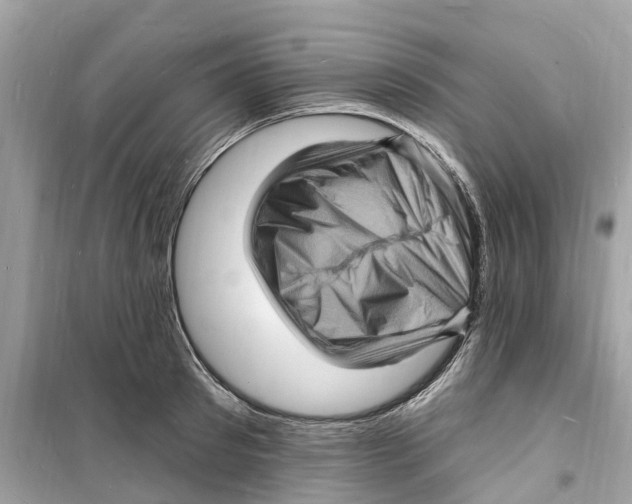 X0000098230897200805221708