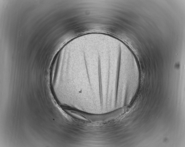 X0000098230898200805221708