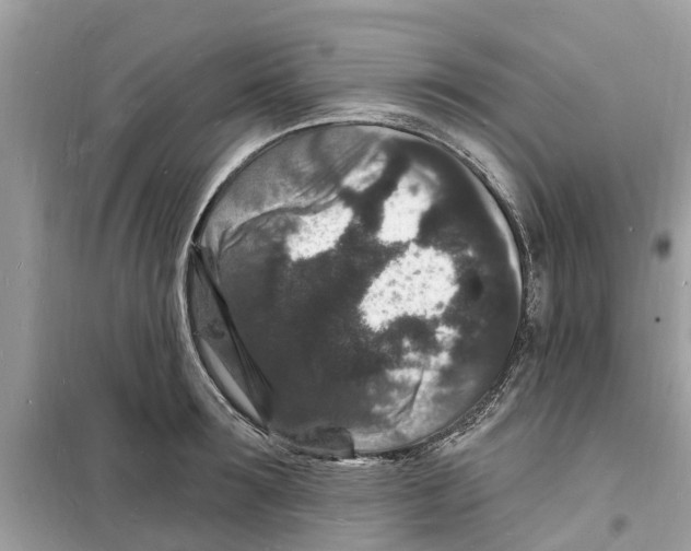 X0000098230899200805221708