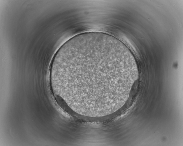 X0000098230900200805221708