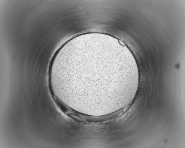 X0000098230902200805221708