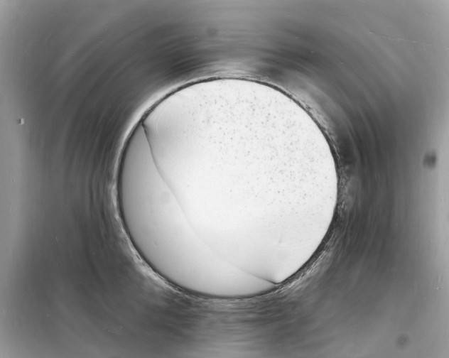 X0000098230904200805221708