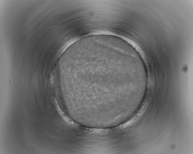 X0000098230905200805221708